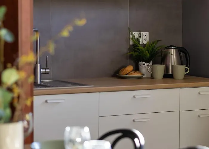 Przestronny Dom Z 3 Sypialniami W Doskonalej Lokalizacji W Poblizu Lotniska By Noclegi Renters *